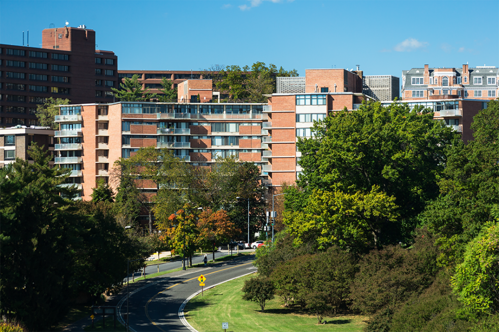 Calvert House HiRise Windows